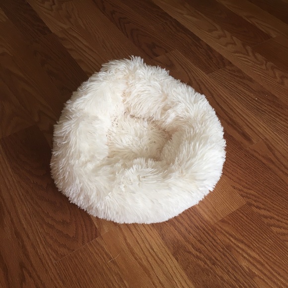 Other - 🆕 Small dog or cat bed